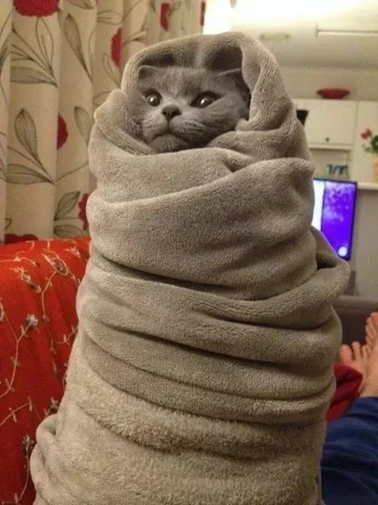 ​🥶 Экстремальное похолодание до +2°С ждет Волгоградскую область