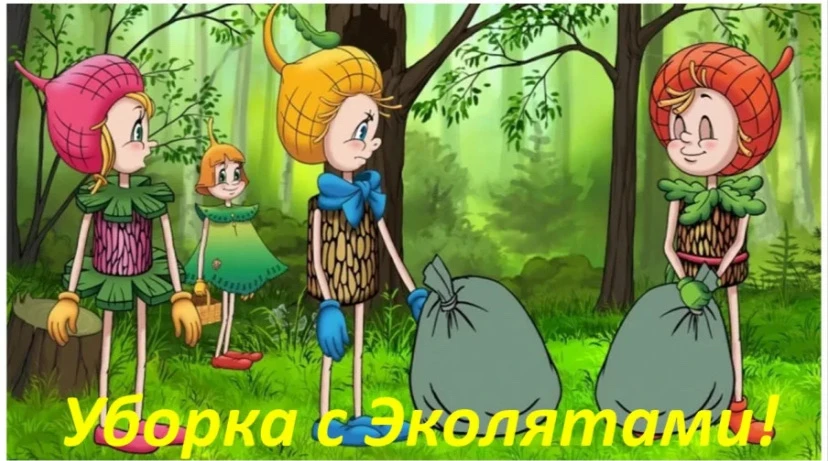 Акция «Уборка леса с Эколятами - дошколятами!»