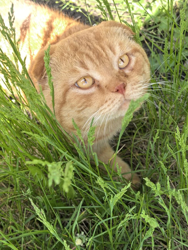Ну какой же красавчик приходил в гости к нам 😍