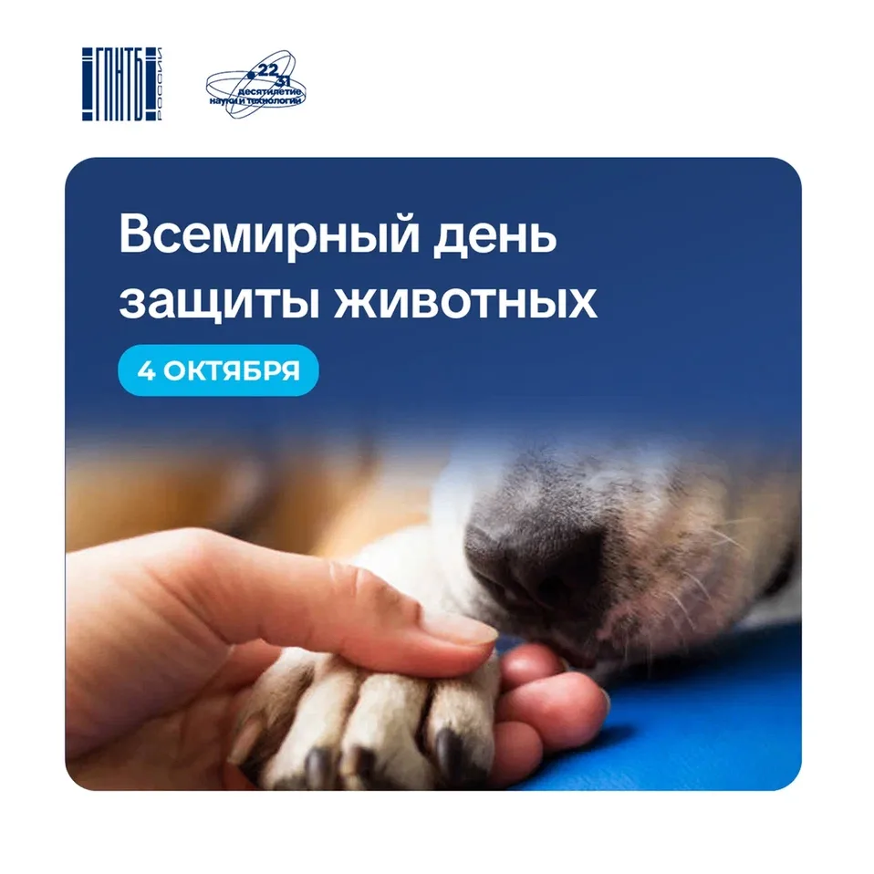 🐾 4 октября отмечается Всемирный день защиты животных