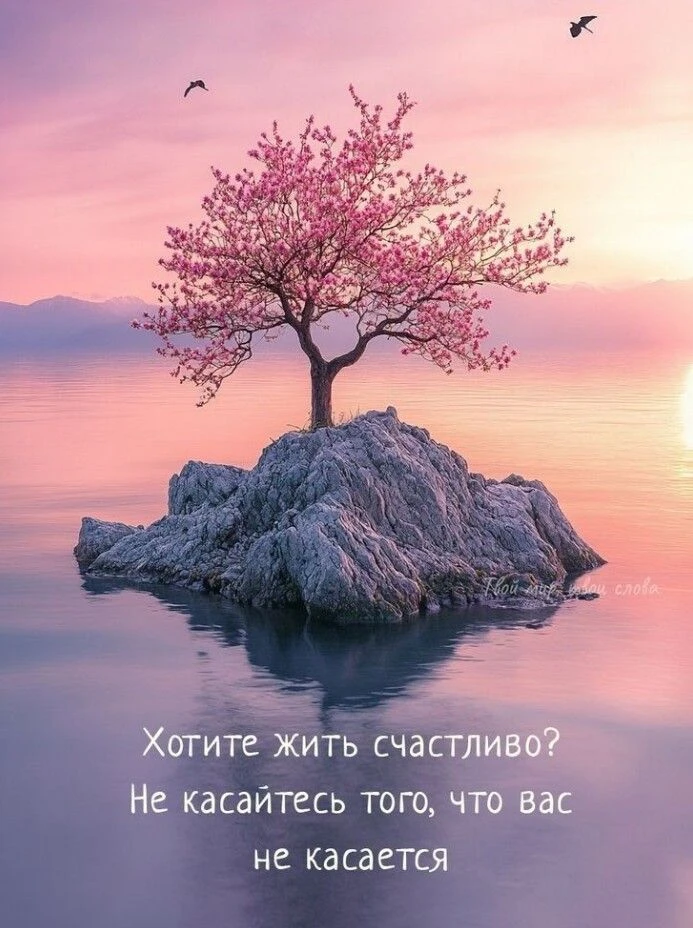 Эскиз жизни