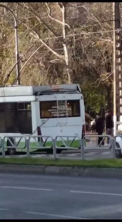 ТРОЛЛЕЙБУСЫ ВОЗВРАЩАЮТСЯ В БЕРЕЗНИКИ?
