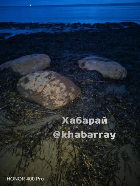 И вечерняя красота. Берег моря в Ванино сегодня. За фото и видео спасибо нашей подписчице!
