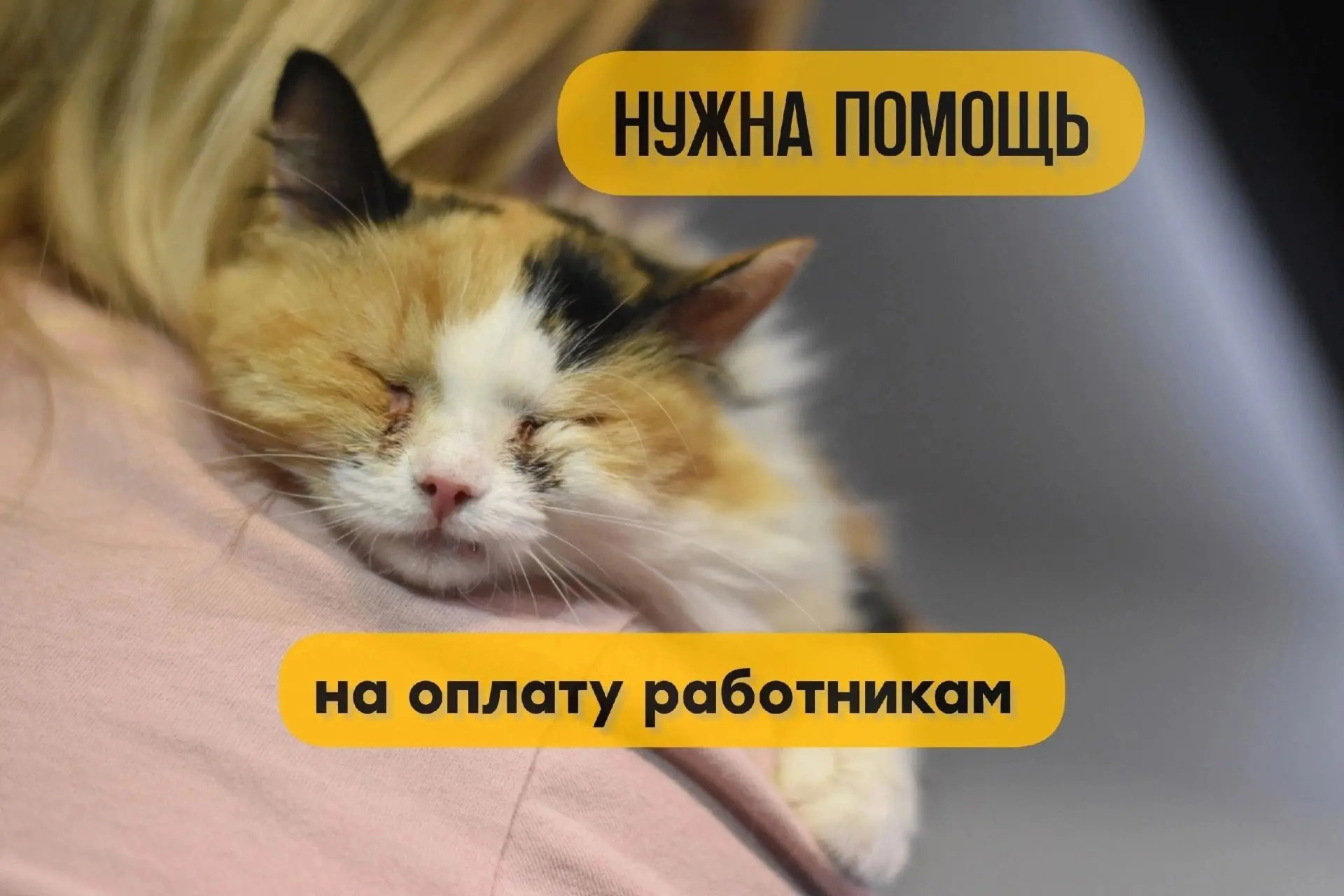 Помогите пожалуйста🙏 не потерять работников! Для нас это всегда тяжёлый сбор!