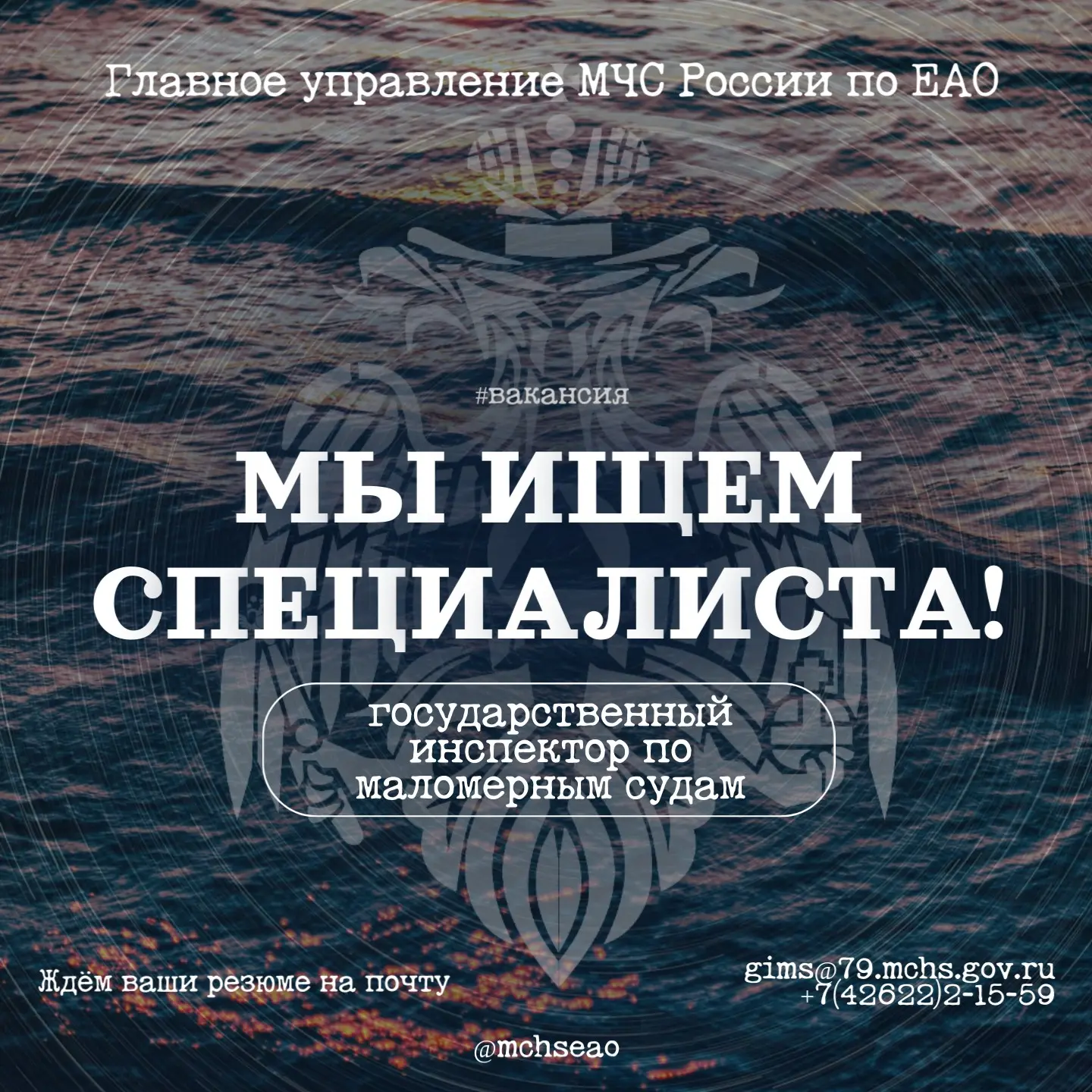 ⚠️ В Центр ГИМС Главного управления МЧС России по ЕАО требуется государственный инспект...