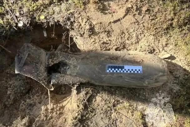 В Лужском районе нашли авиабомбу времён Великой Отечественной войны