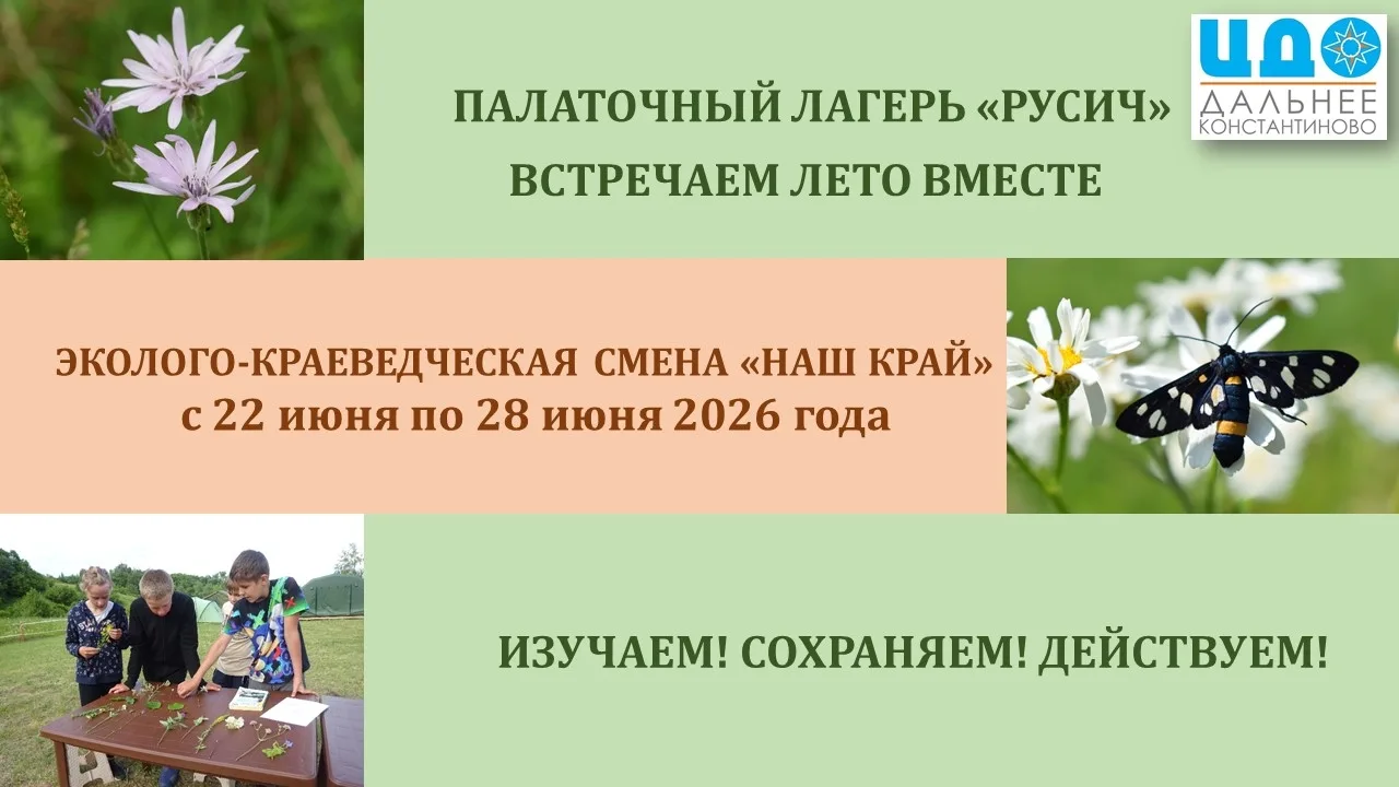 🌿🦢В ЦЕНТРЕ ЛЕТО | "НАШ КРАЙ"🦢🌿