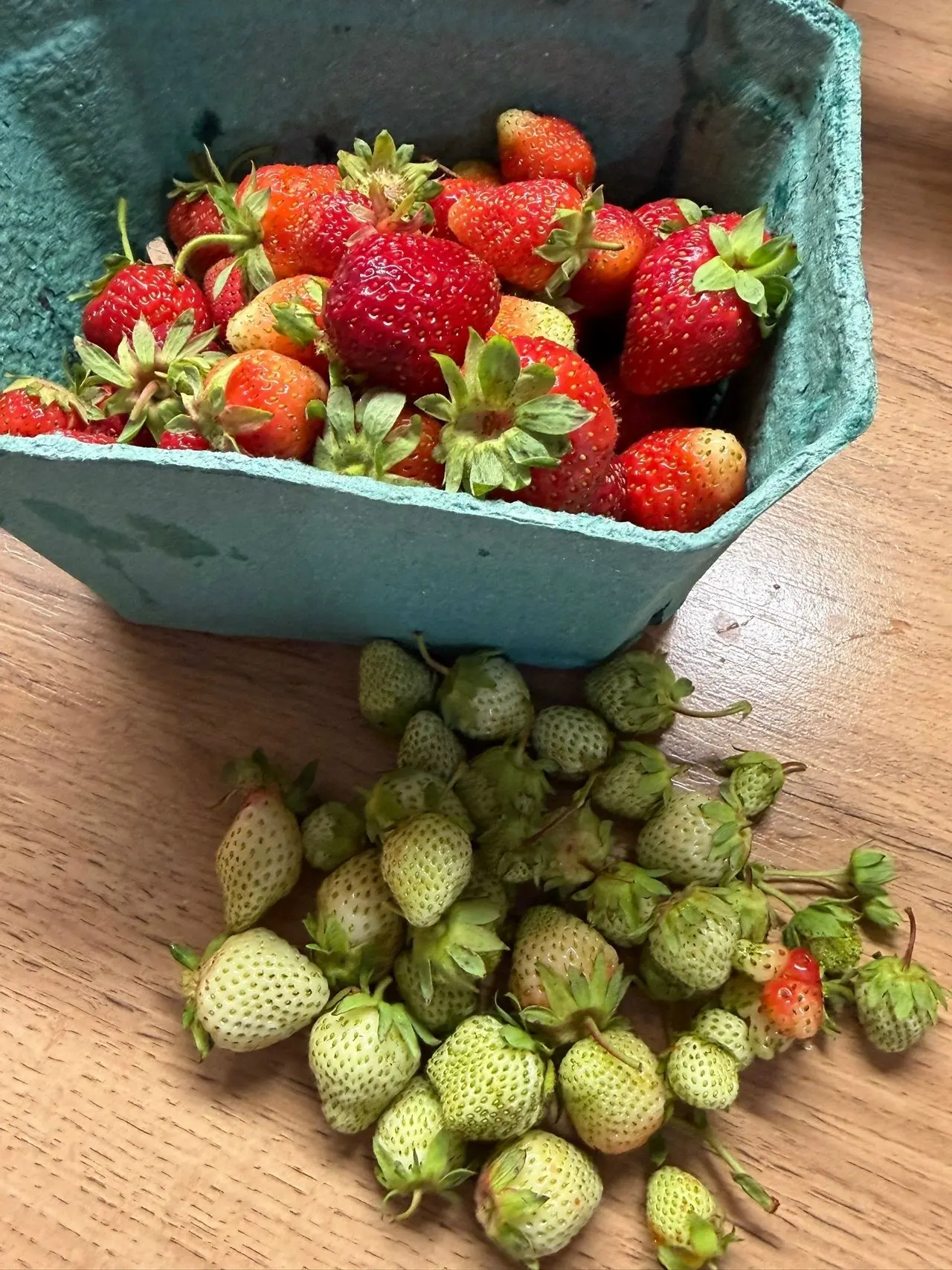 🍓Клубничное казино