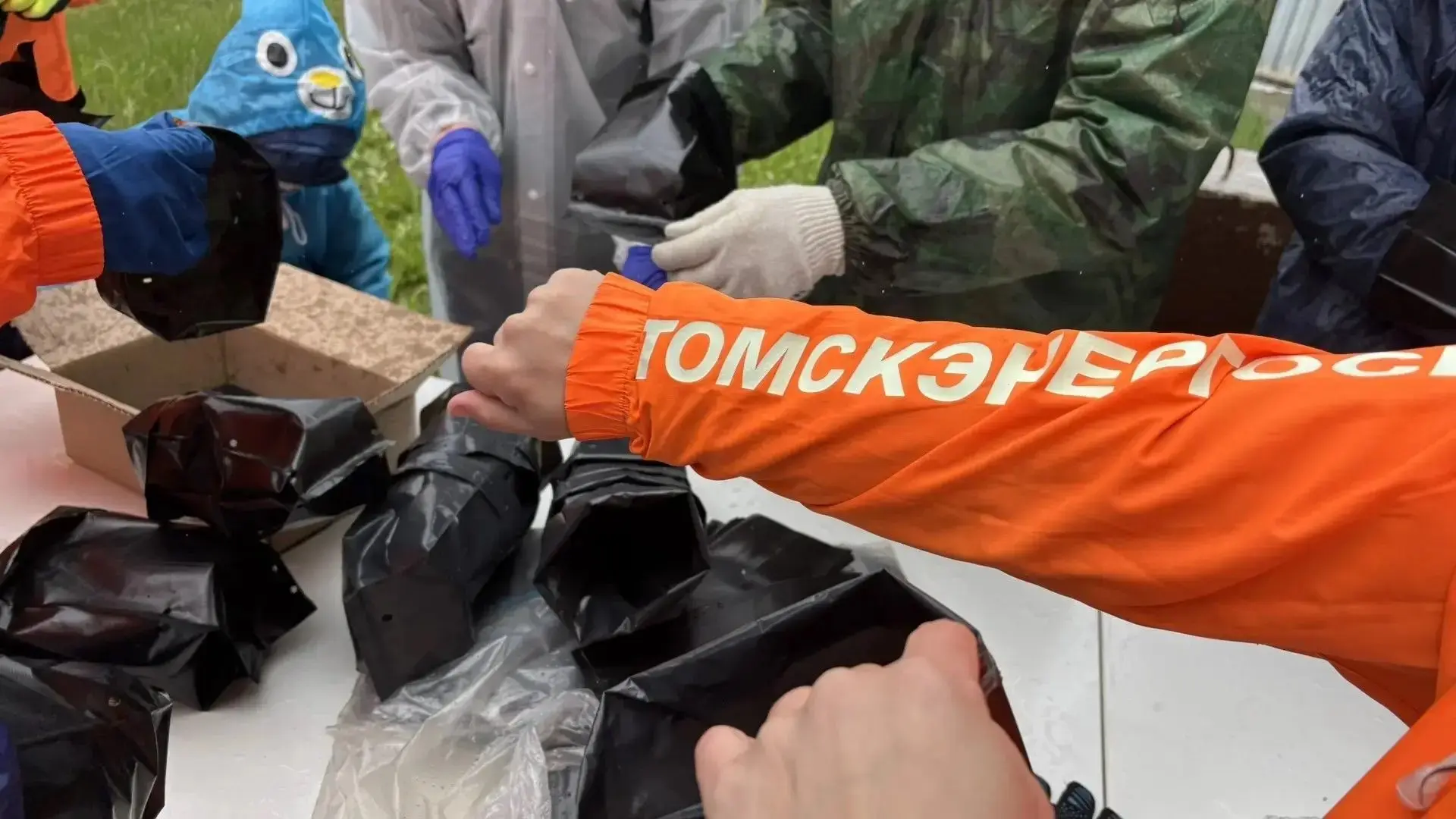 Томскэнергосбыт на зеленой стороне 🌳🌳🌳🌳🌳🌳🌳🌳  В рамках городской программы «КорпораТим» сотрудники То