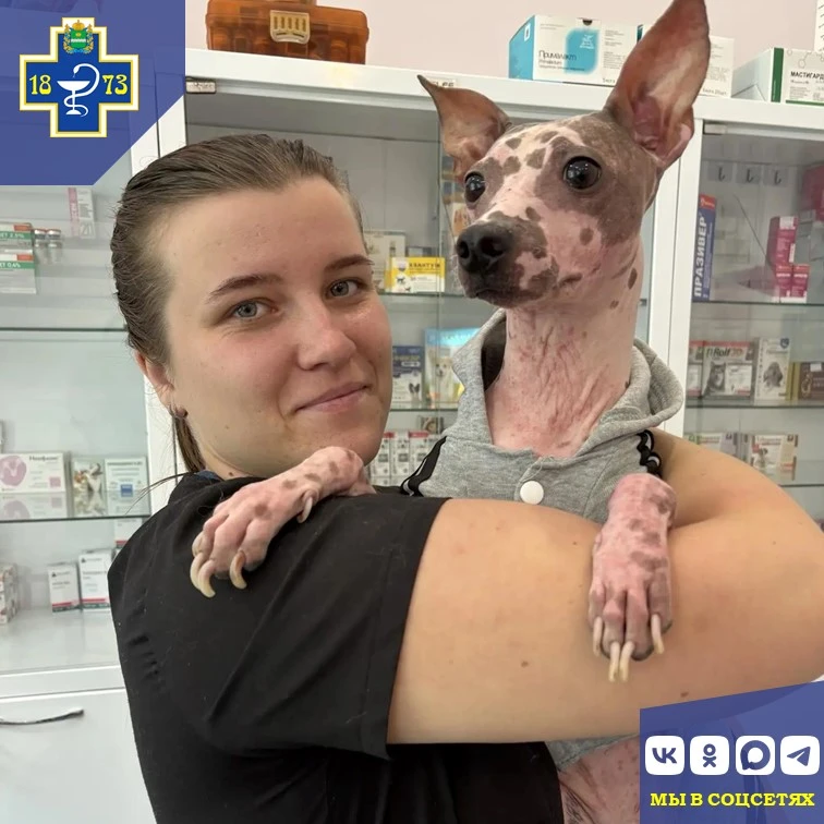 🐾 Ветеринарные будни специалистов Сухиничского отдела ГБУ КО "Сухиничская межрайонная ...