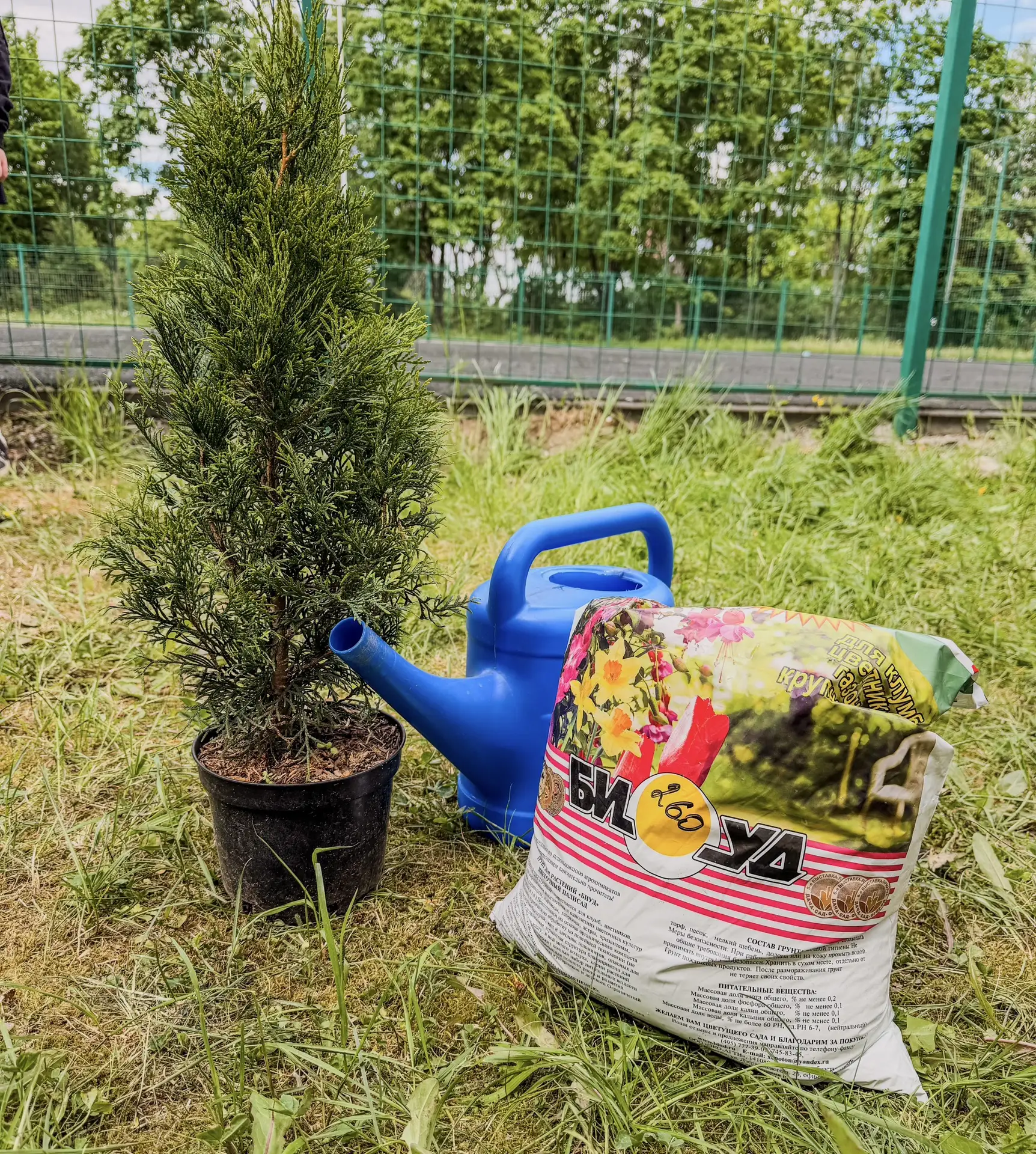 Новая добрая традиция ✨🌿

Выпускники начальной школы оставили после себя не просто память, они зало