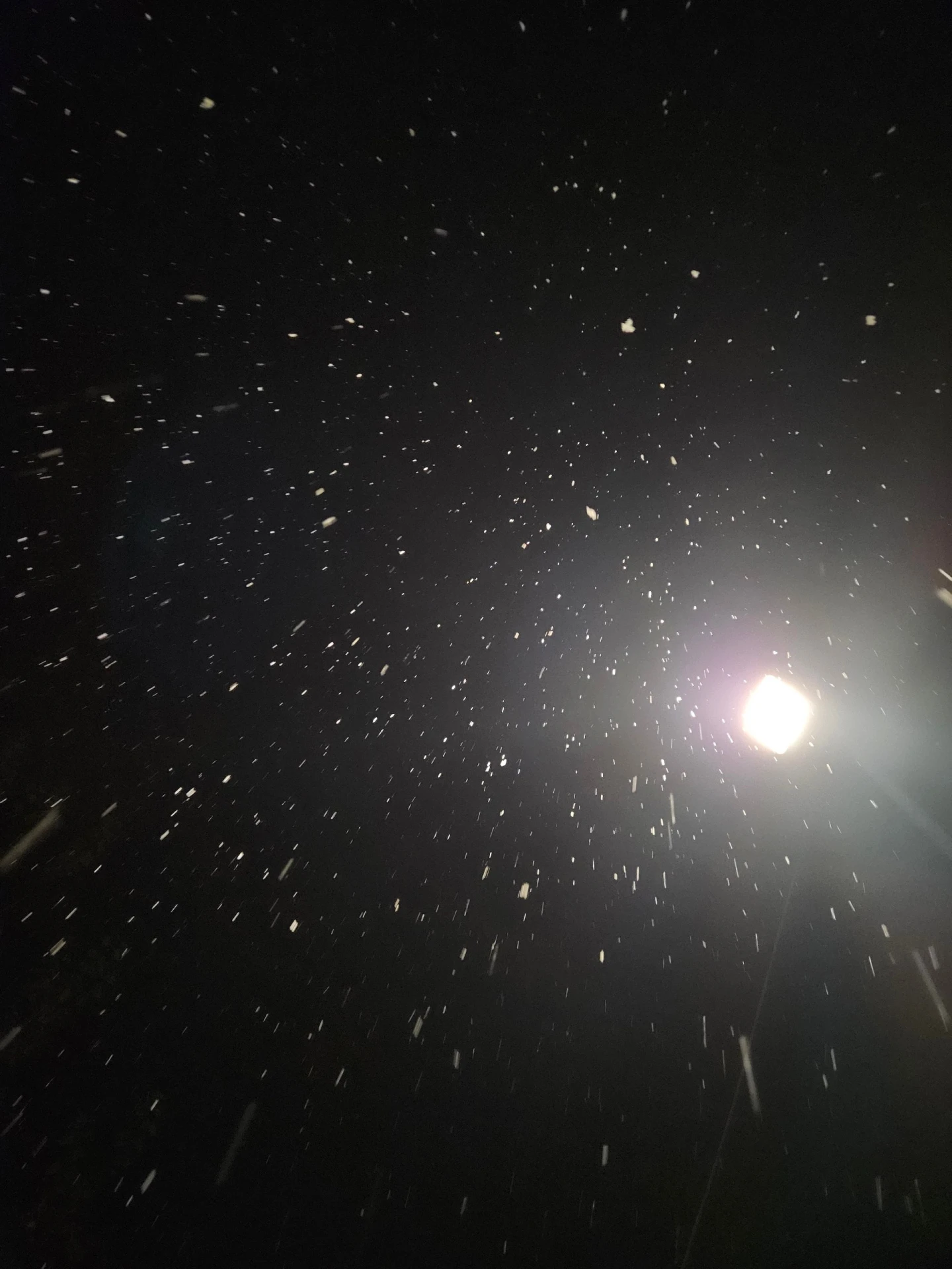 Вот и в Копейске пошёл снег 😍❄️☃️