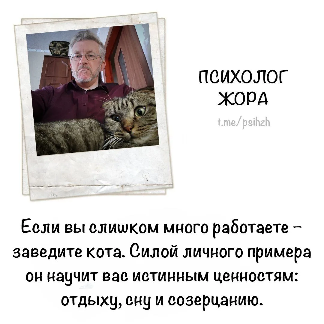 #советы_жоры