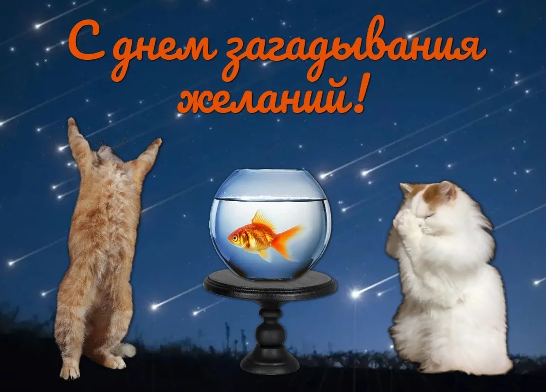 Сегодня 28 июля 2026 года, вторник - отмечается 7 праздников 

⭐️День загадывания желаний
📣День PR-
