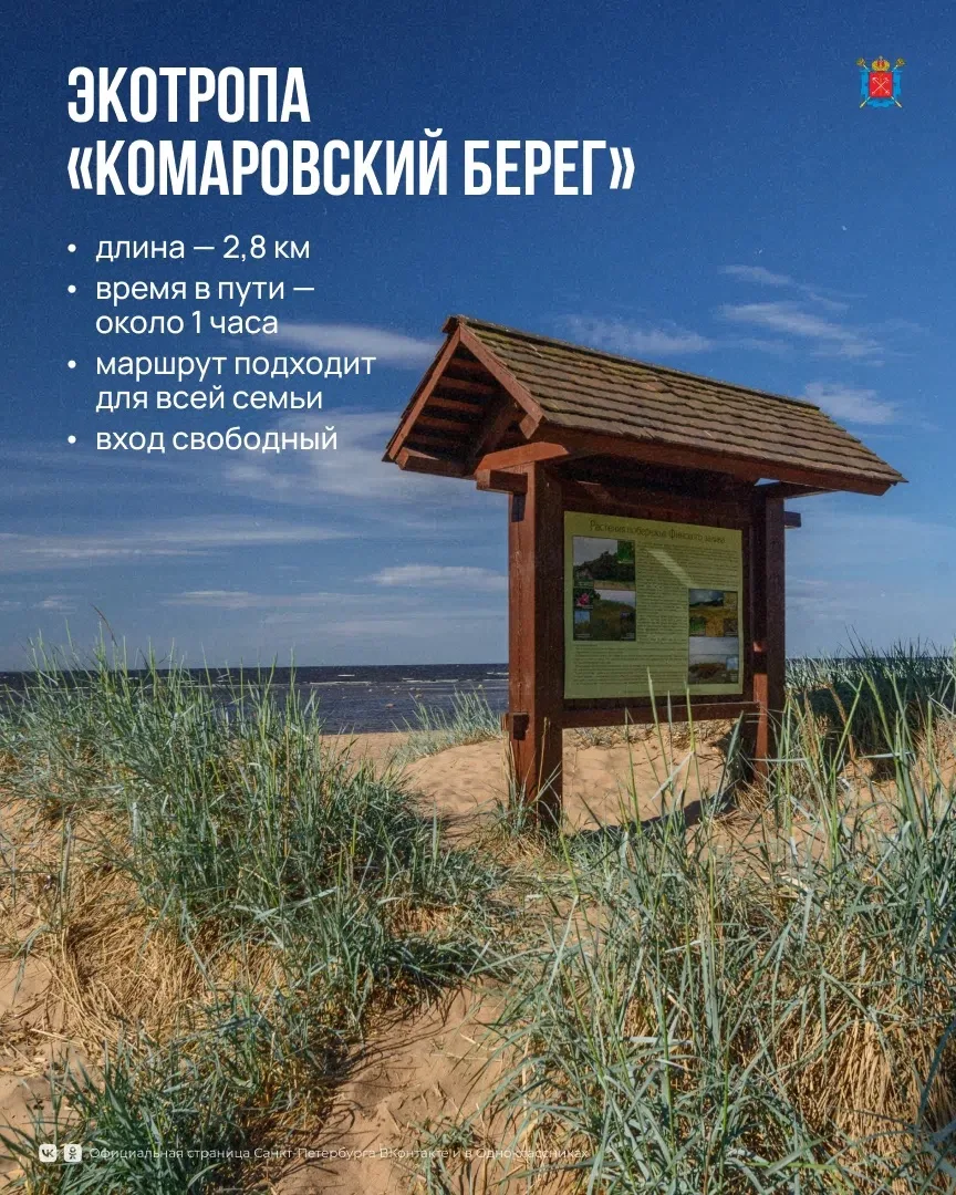 В Петербурге оборудовано 7 экологических троп, которые проходят по особо охраняемым природным террит