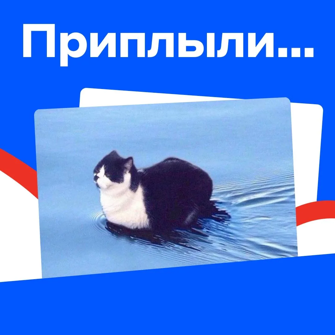 Не успели моргнуть, как лето закончилось 🗿