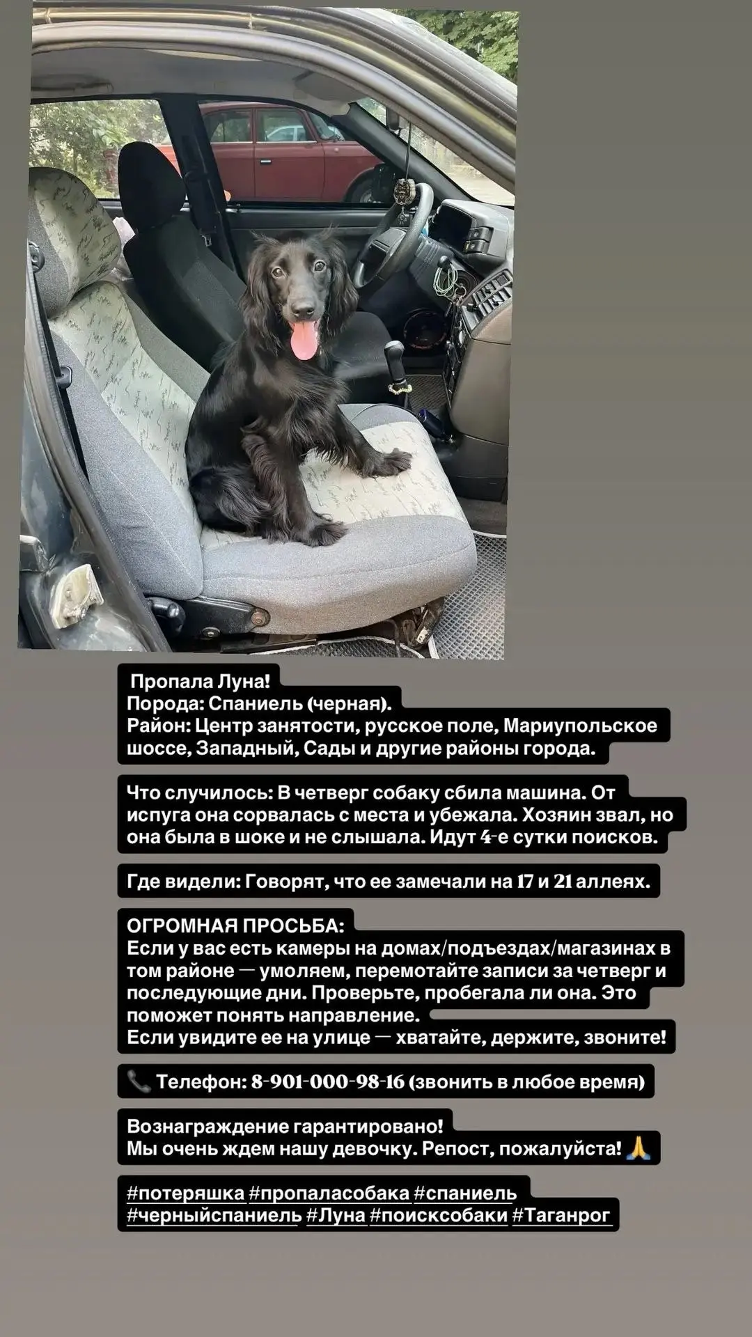 🚨 ПОТЕРЯШКА! ПОМОГИТЕ НАЙТИ! 🚨