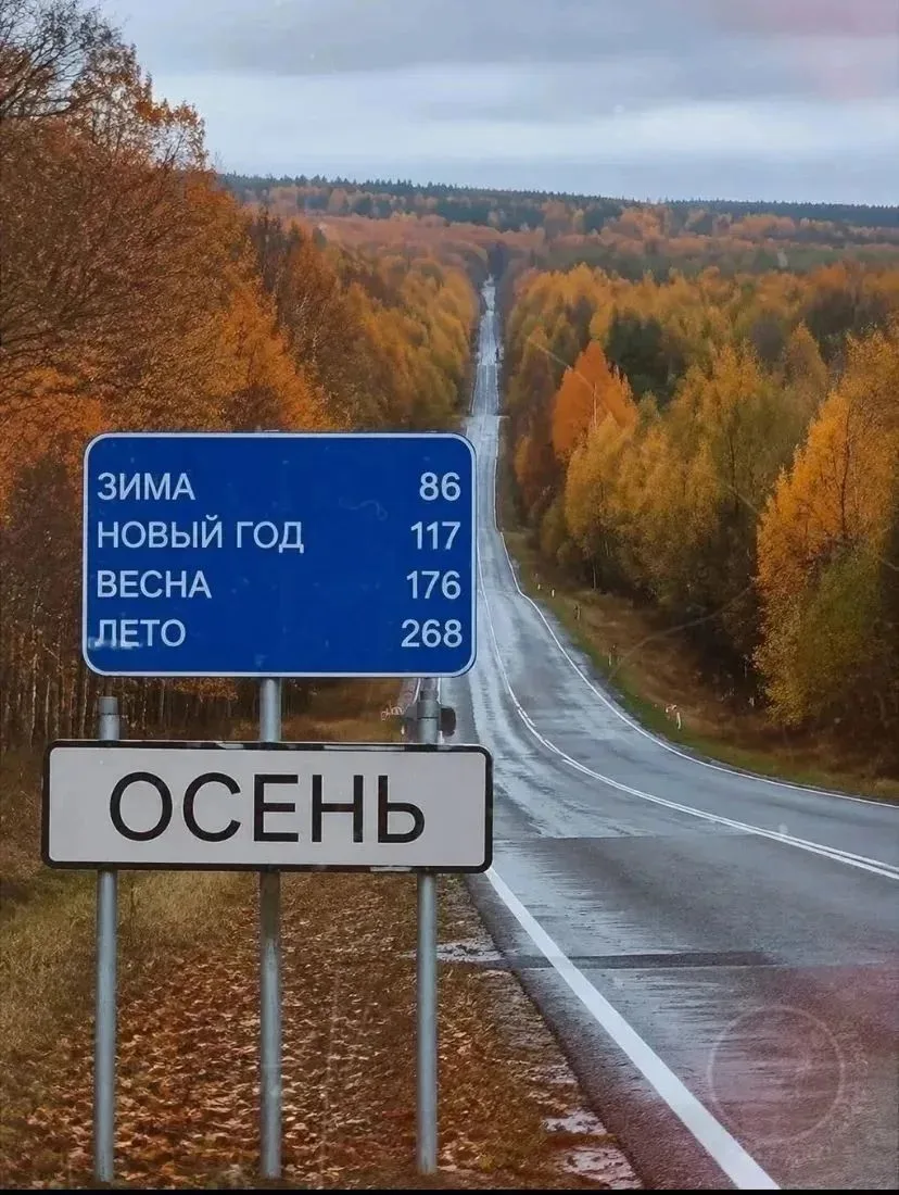Новый отсчёт 😁😁😁