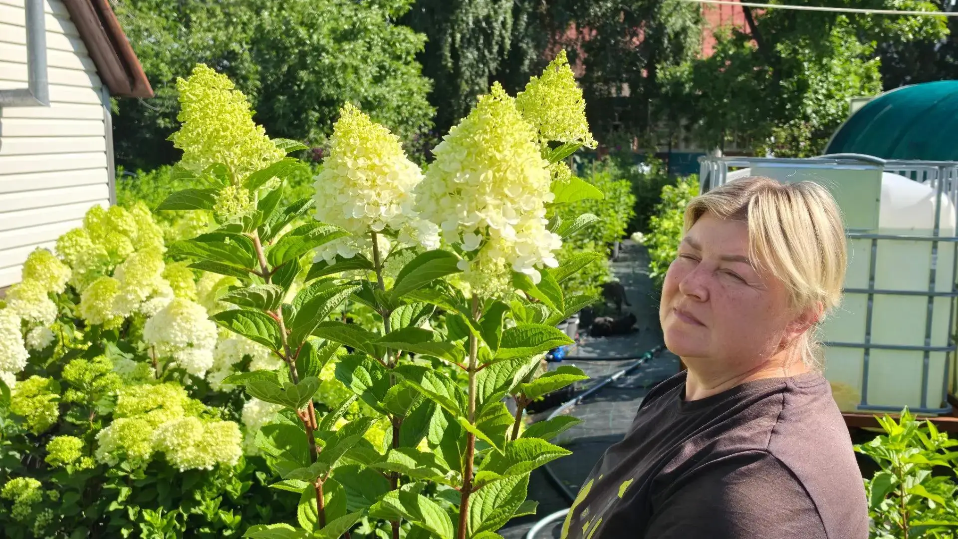 🌿 Пануччи — долгожданный красавец из серии Пан наконец зацвёл!

Признаёмся — мы его очень ждали. И 