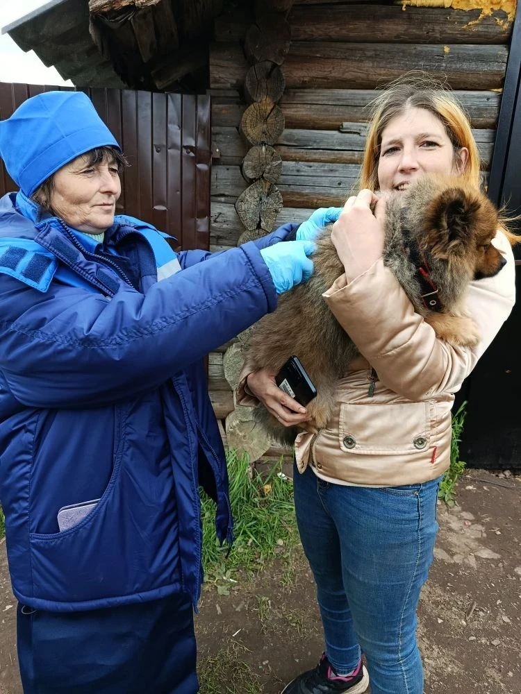 Сегодня ветеринарные специалисты ОБУ "Боровичская райветстанция" проводили бесплатную е...