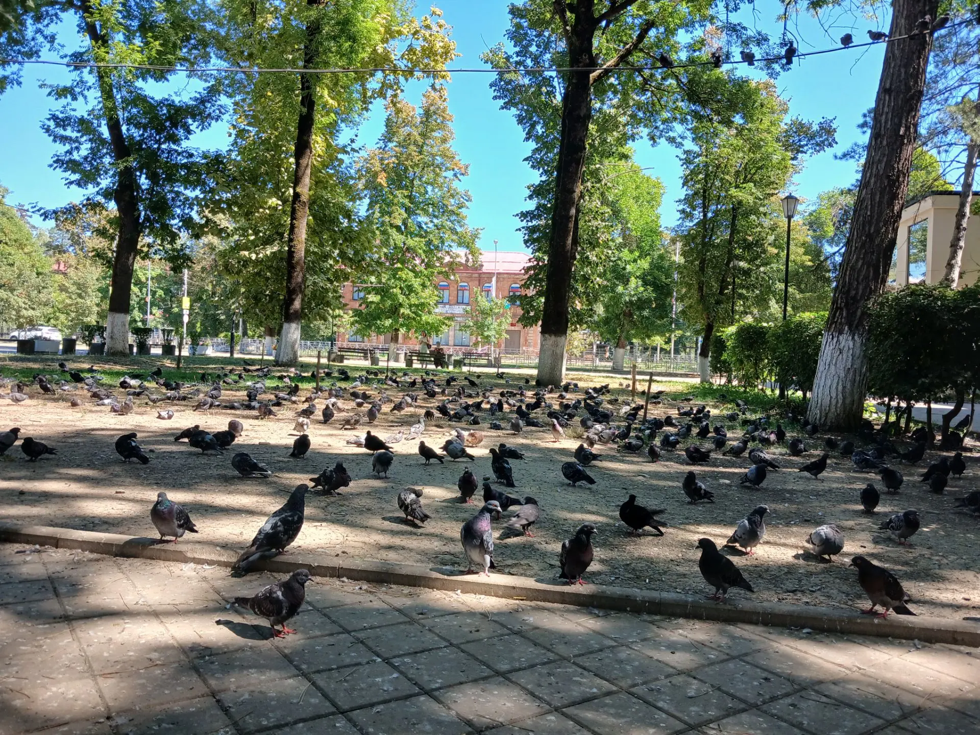О погоде на 8 октября