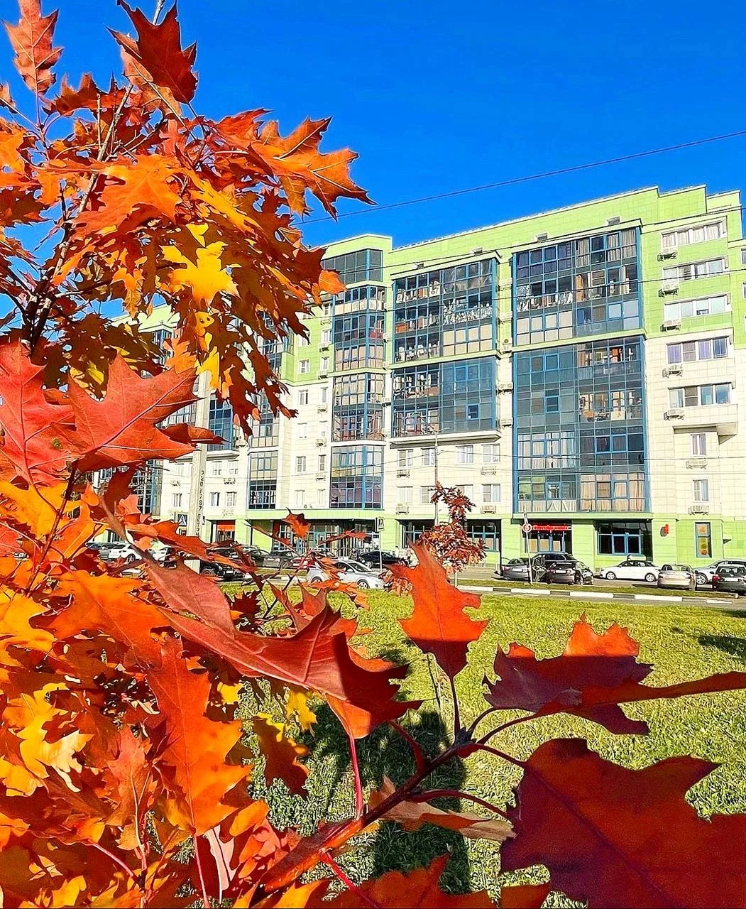 🍂 Бабье лето придёт в Москву и Подмосковье  8 сентября и продлится около пяти дней.