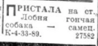 Потеряшка. Гончая. Самец.