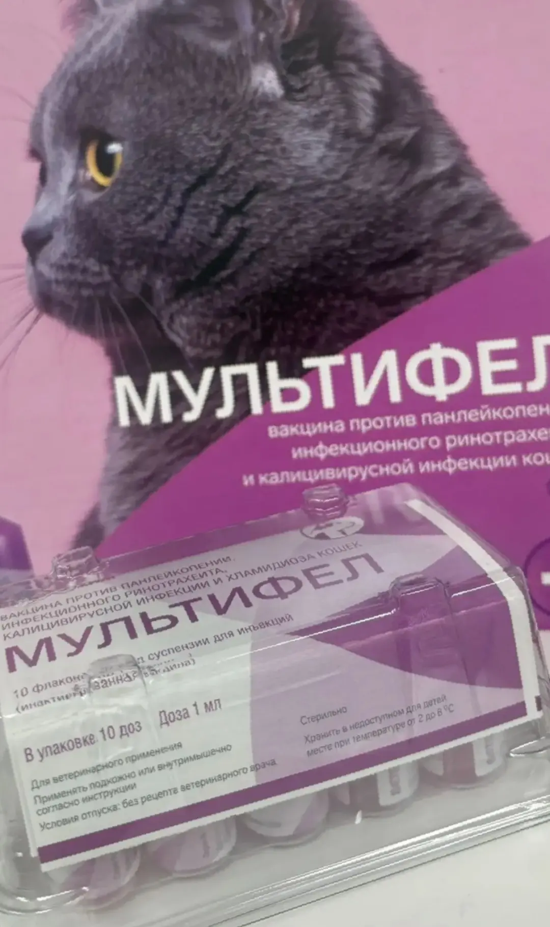 Здоровье питомца — под надежной защитой! 💉