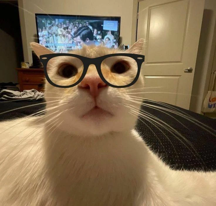 🤓 День зануды отмечается сегодня
