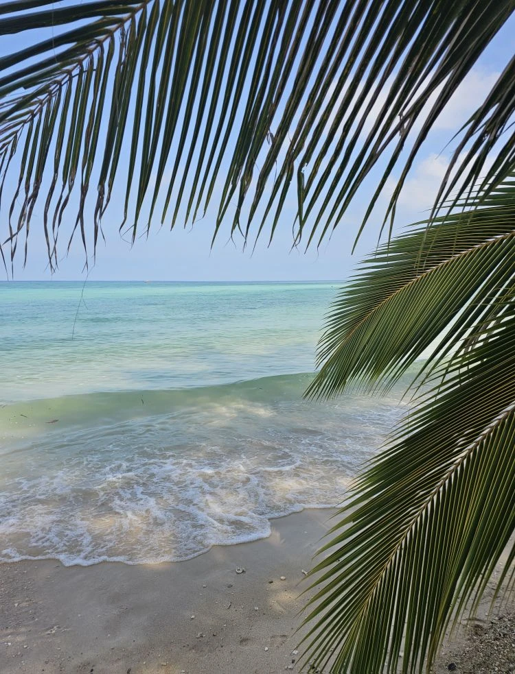 🌴Пока одни думают, что летом в Таиланде делать нечего, другие уже бронируют шикарные о...