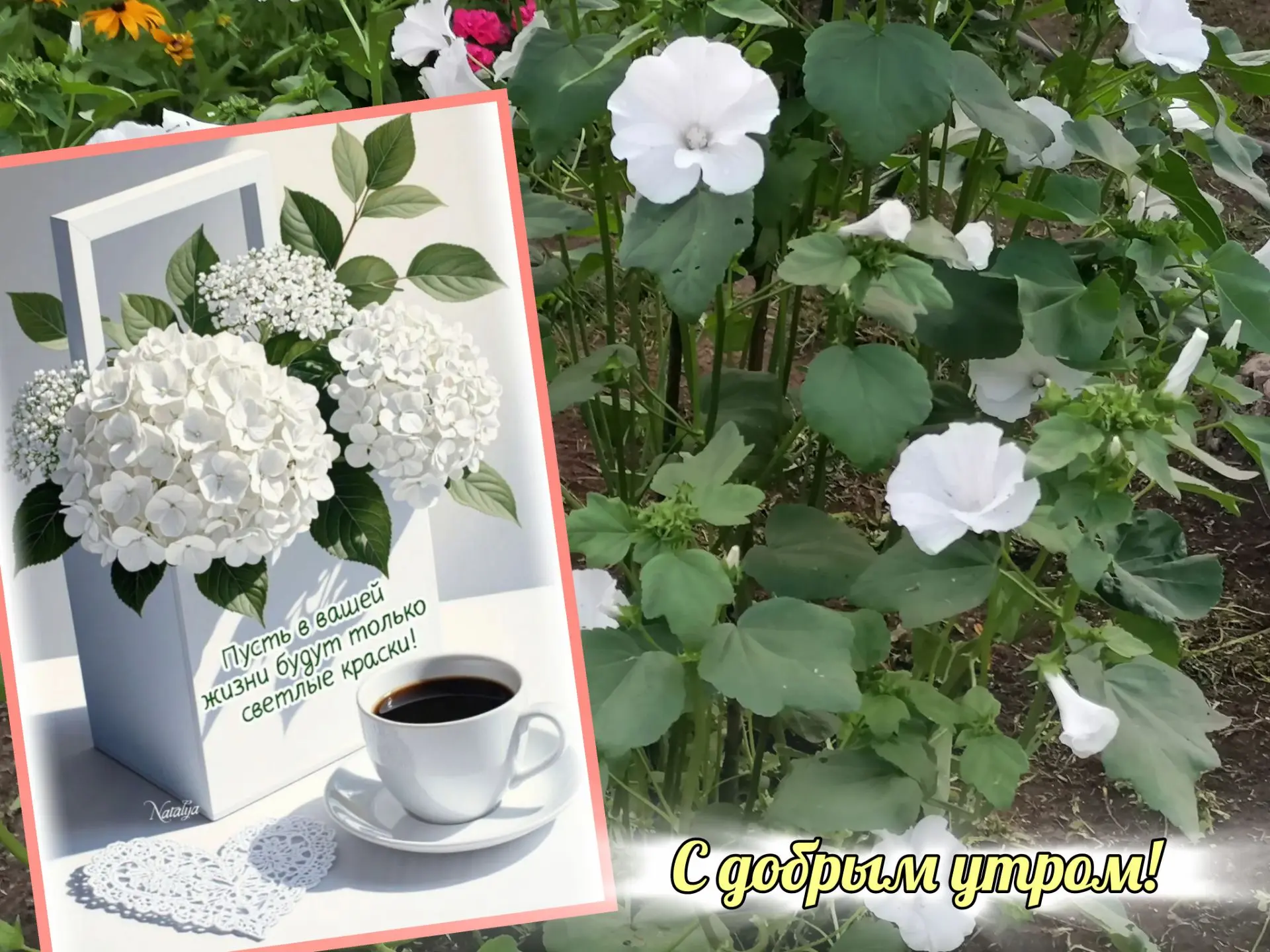 🍒 С добрым утром! Новый день, новые возможности, новые идеи! Пусть этот день будет нап...
