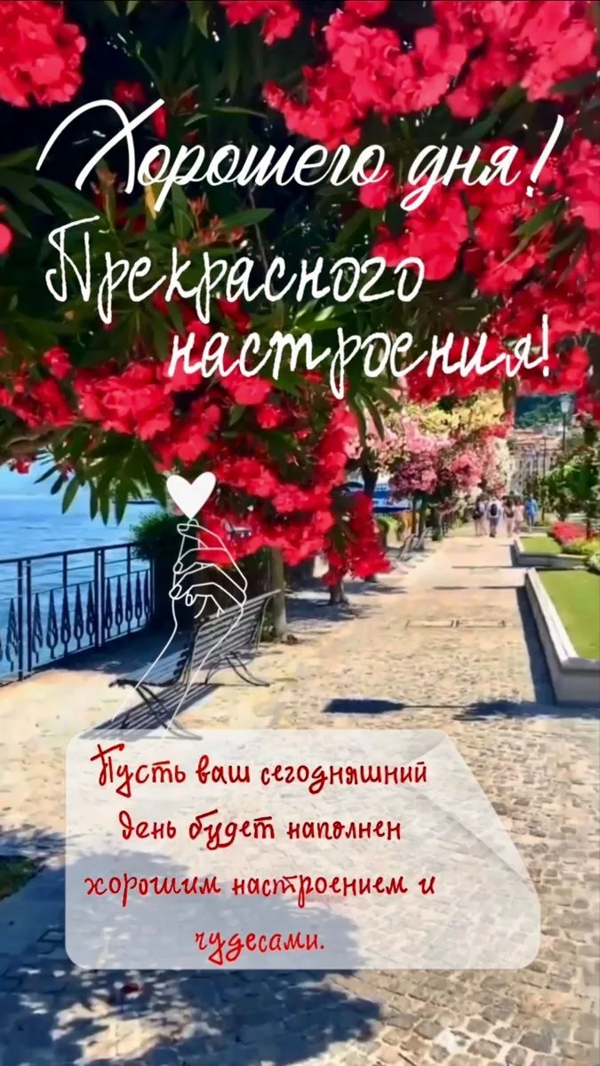 #хорошегодня