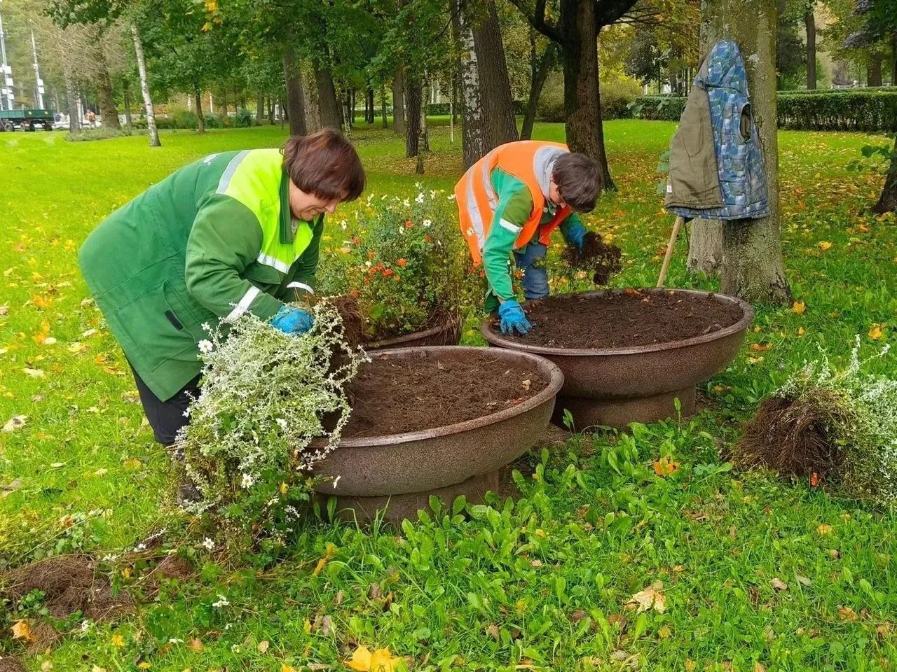 🌸 Петербург прощается с летними цветами