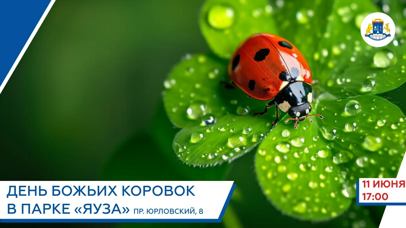 🐞Кто сказал, что жуки — это не мило? Приглашаем на праздник в честь Дня божьих коровок!