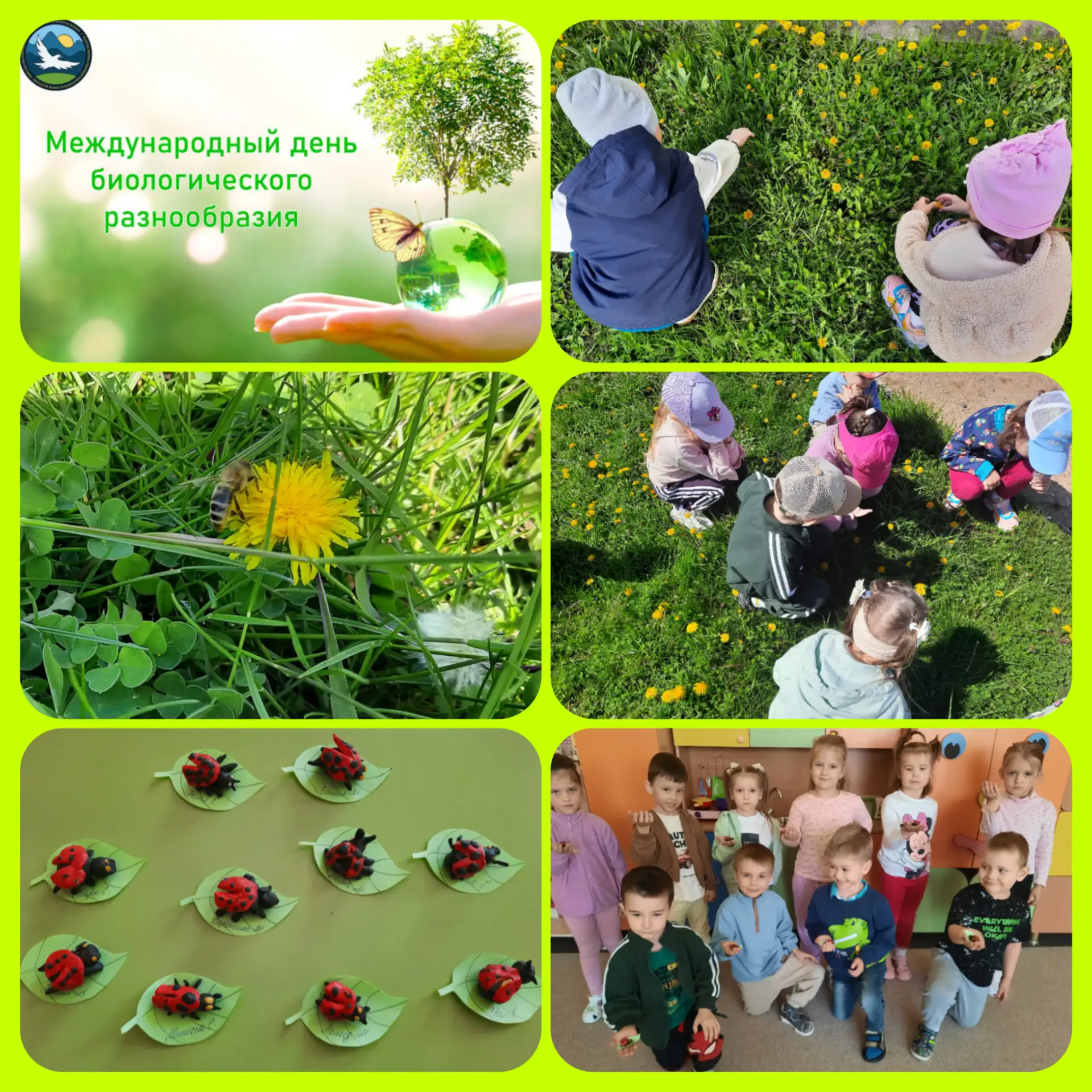 #ДеньБиоразнообразия74