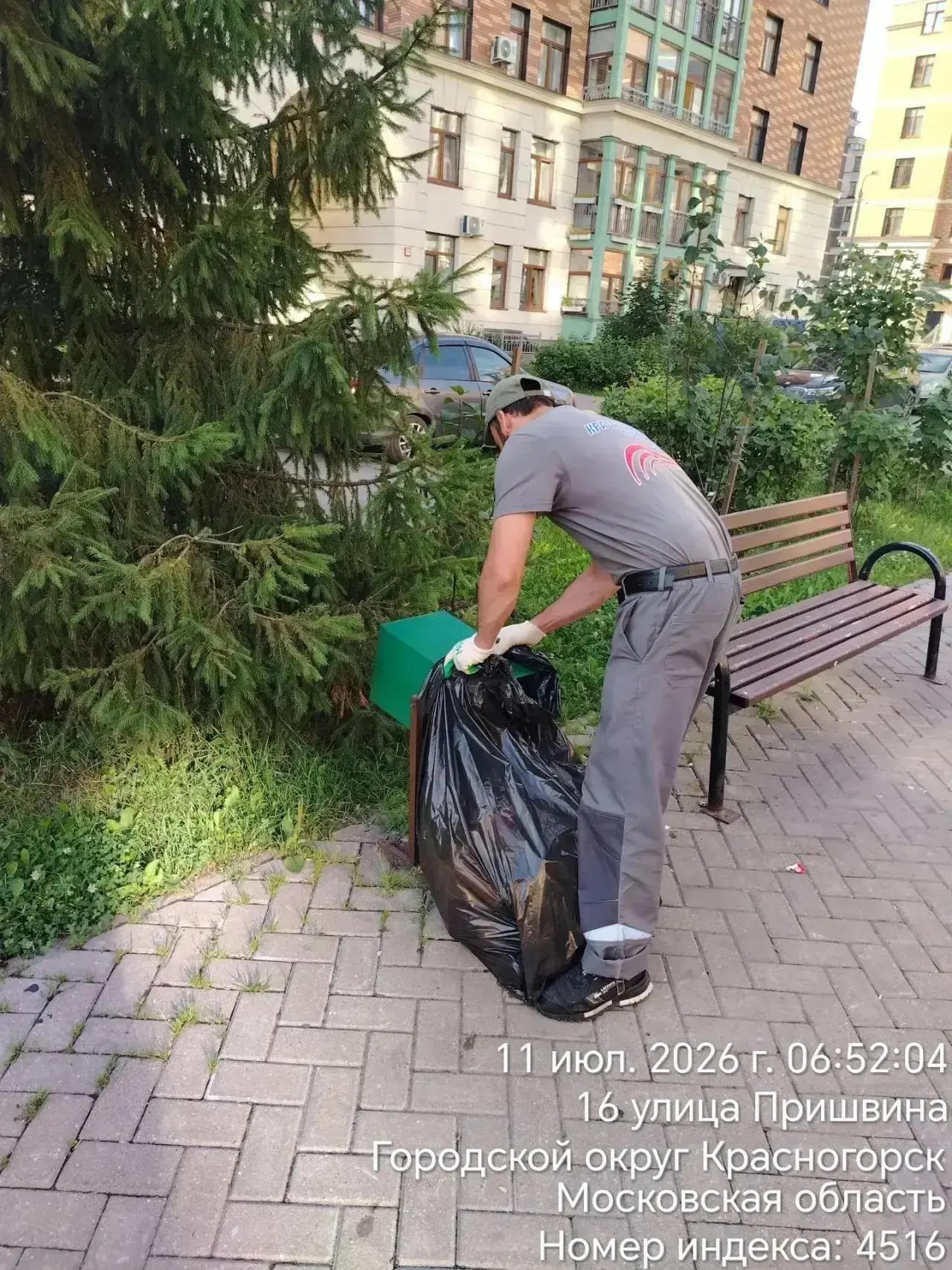 🌳Порядок для нас