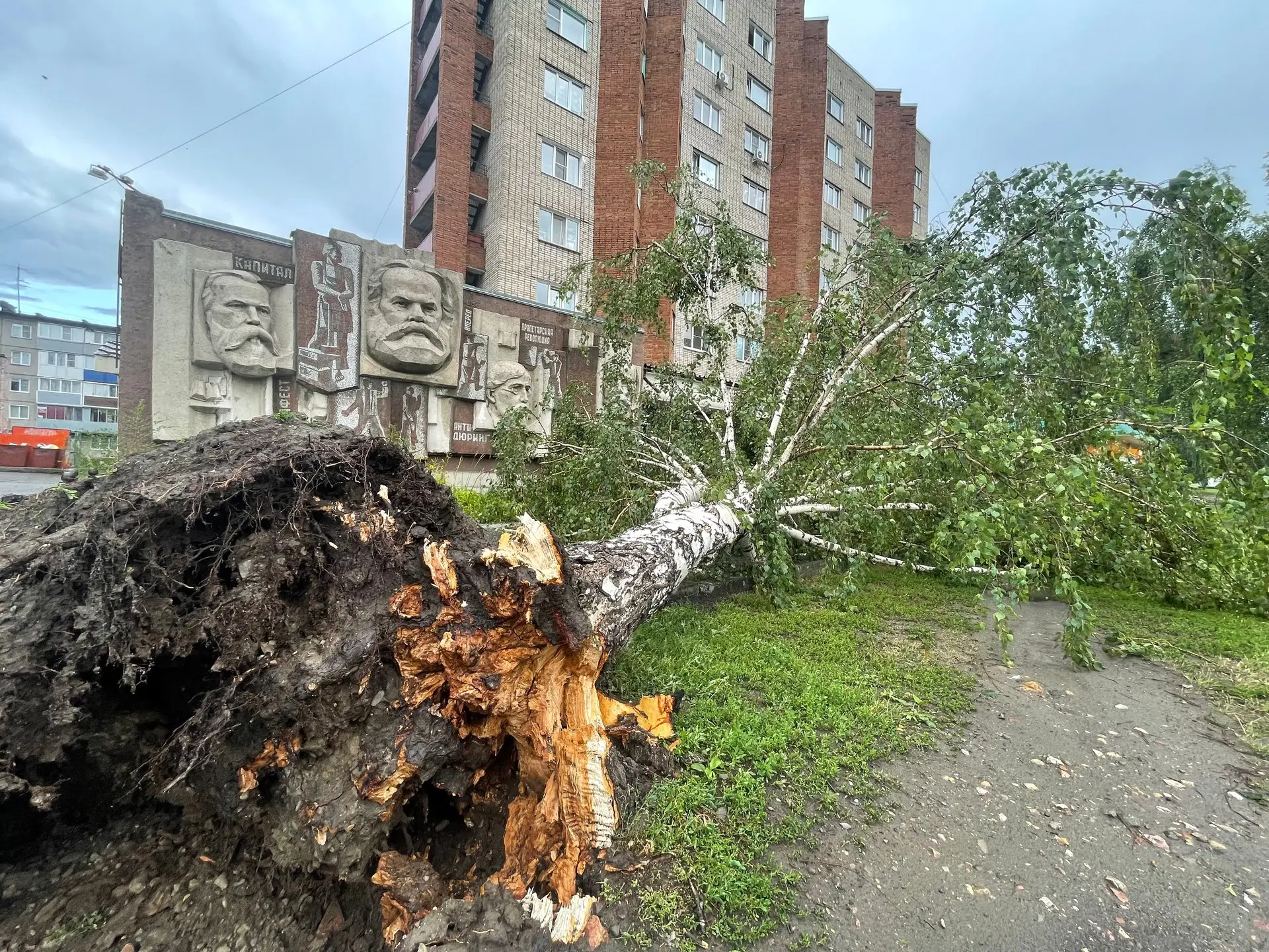 Так в итоге сегодня выглядят улицы Барнаула. Шторм прошелся по Малахова и Антона Петров...
