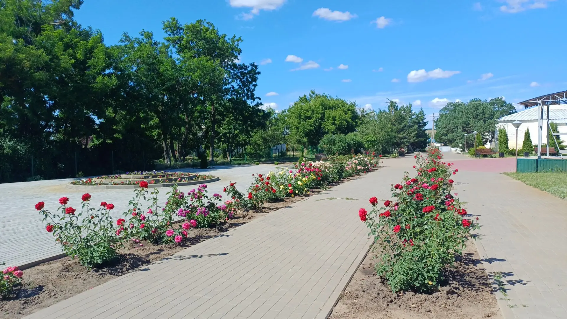 Утро понедельника. 🌹
