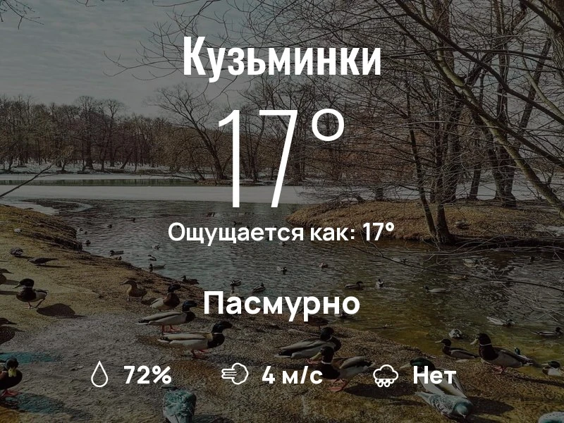 Что с погодой в Кузьминках?