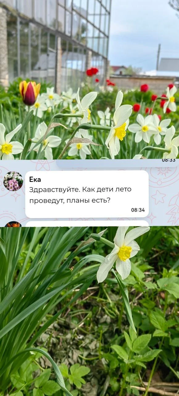 Пока готовится ужин, поотвечаю на вопросы. 🤗  Ох и наболтала же я! 🙈 Маякните в комментариях, если д