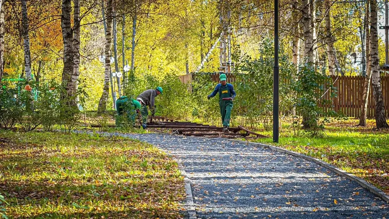 🌿 В парке «Сестрорецкий» разбирают парящую дорожку