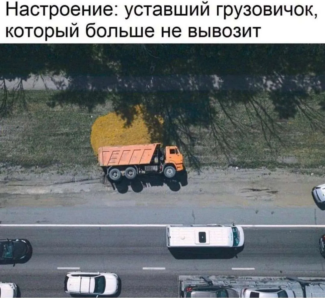 ____________________