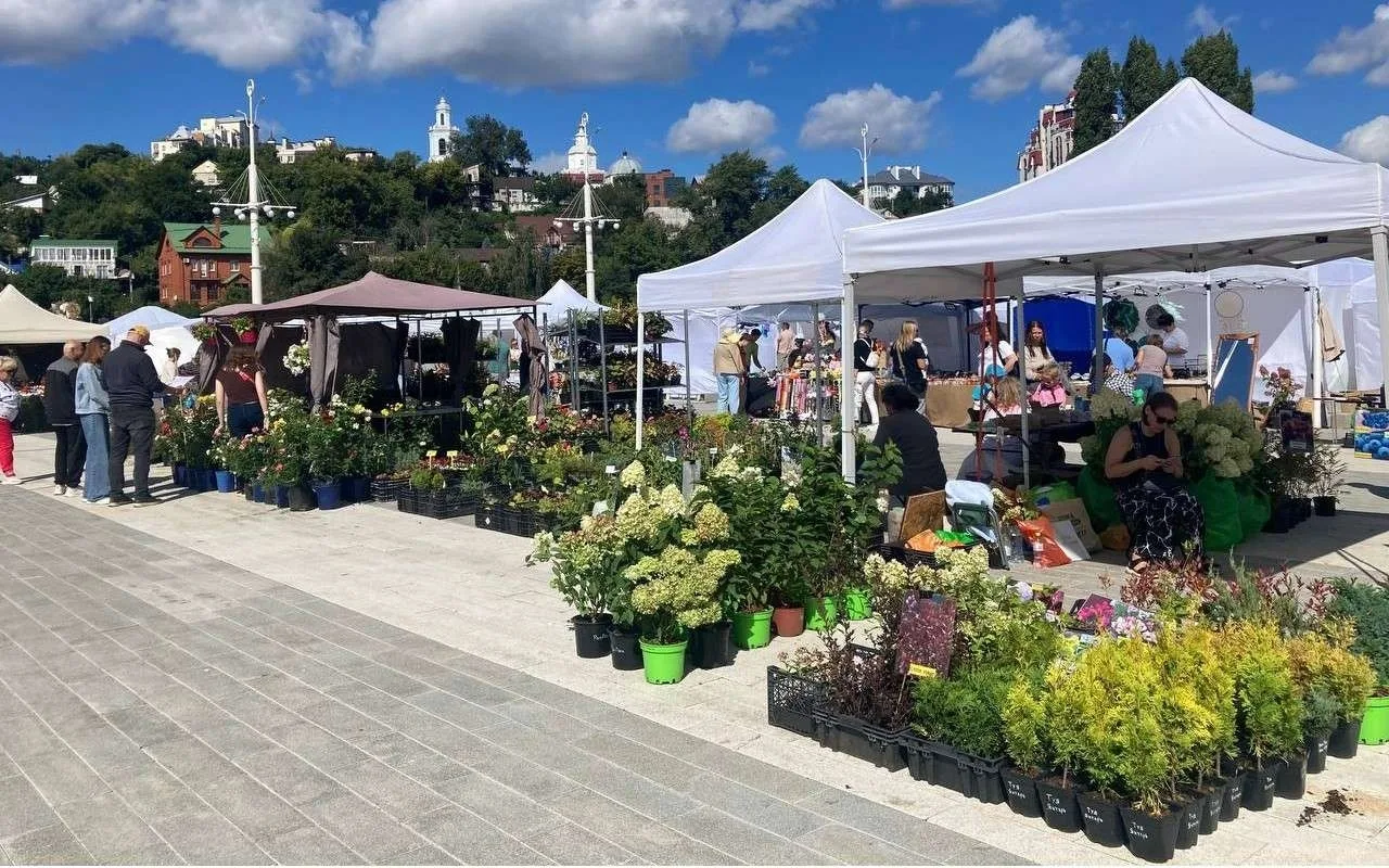 💐Петровская набережная Воронежа на два дня превратилась в огромный цветущий город. Зде...