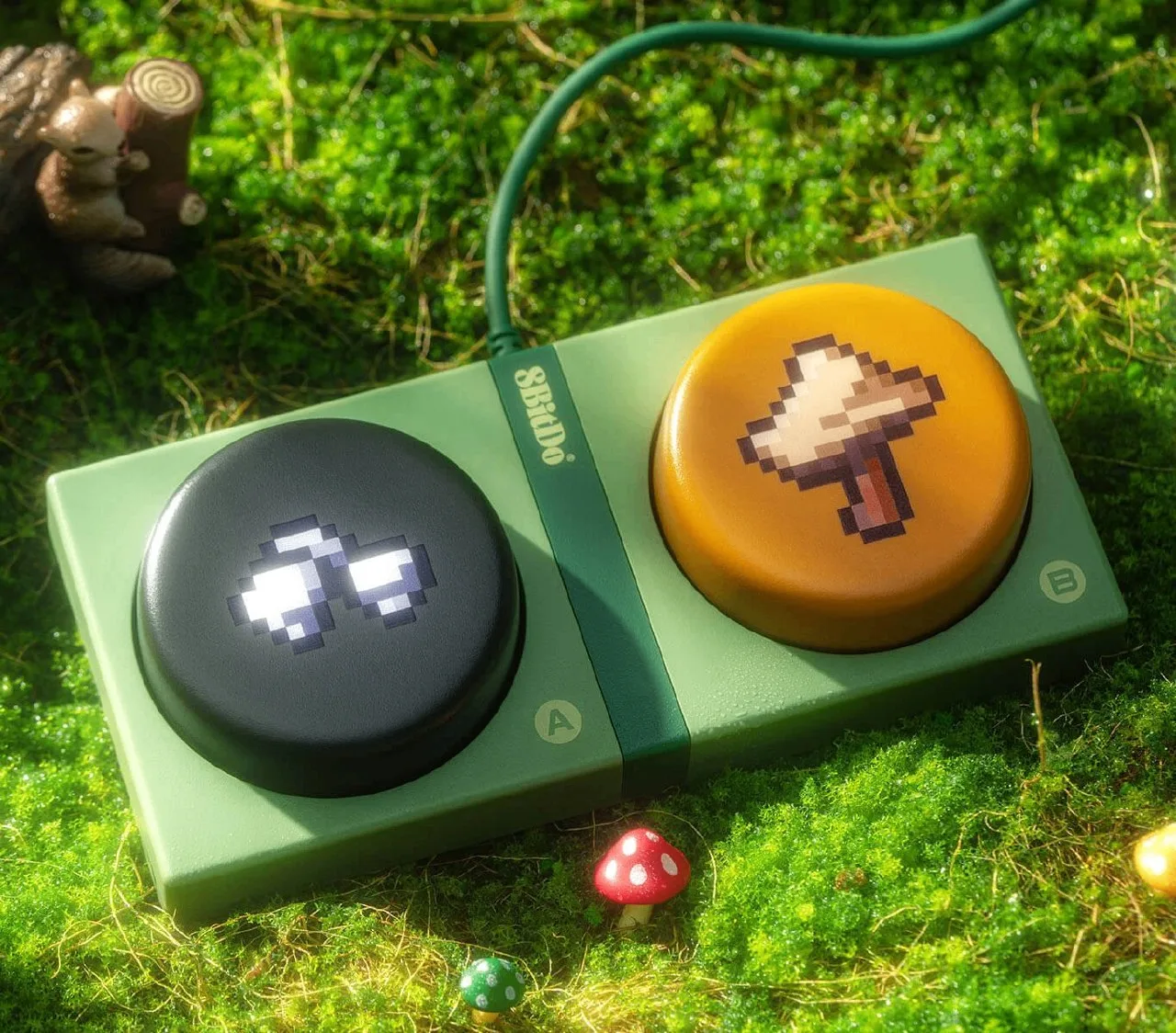 🎮 Коллекция аксессуаров Designed for Xbox Cozy Collection
