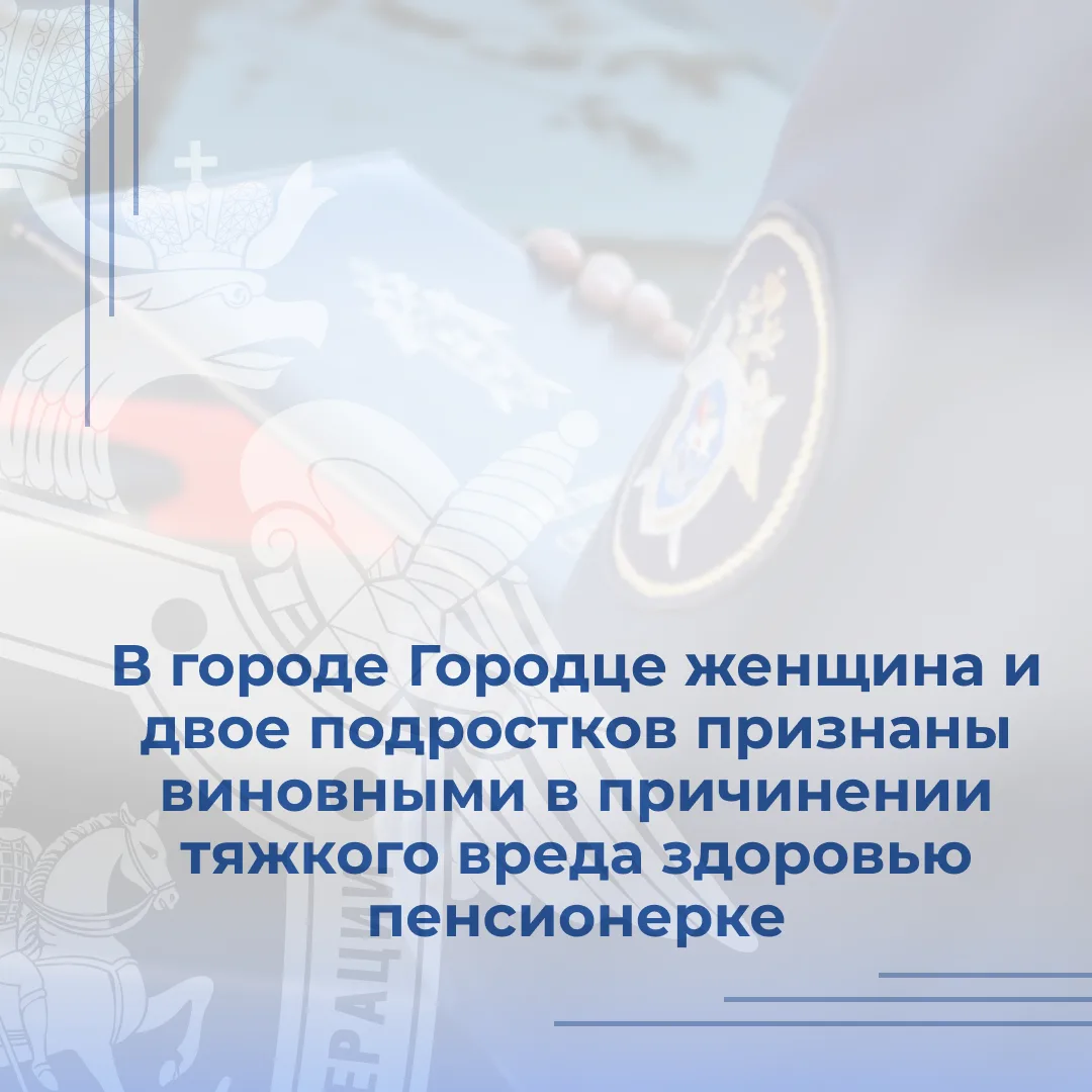 Собранные следователем Городецкого межрайонного следственного отдела следственного управления следст