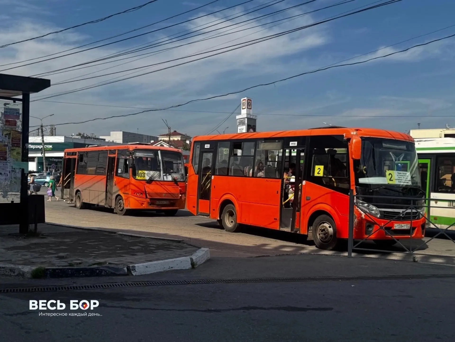 🚌Бесплатный проезд для школьников и скидка 50% для студентов могут появиться по всей стране.

В Гос