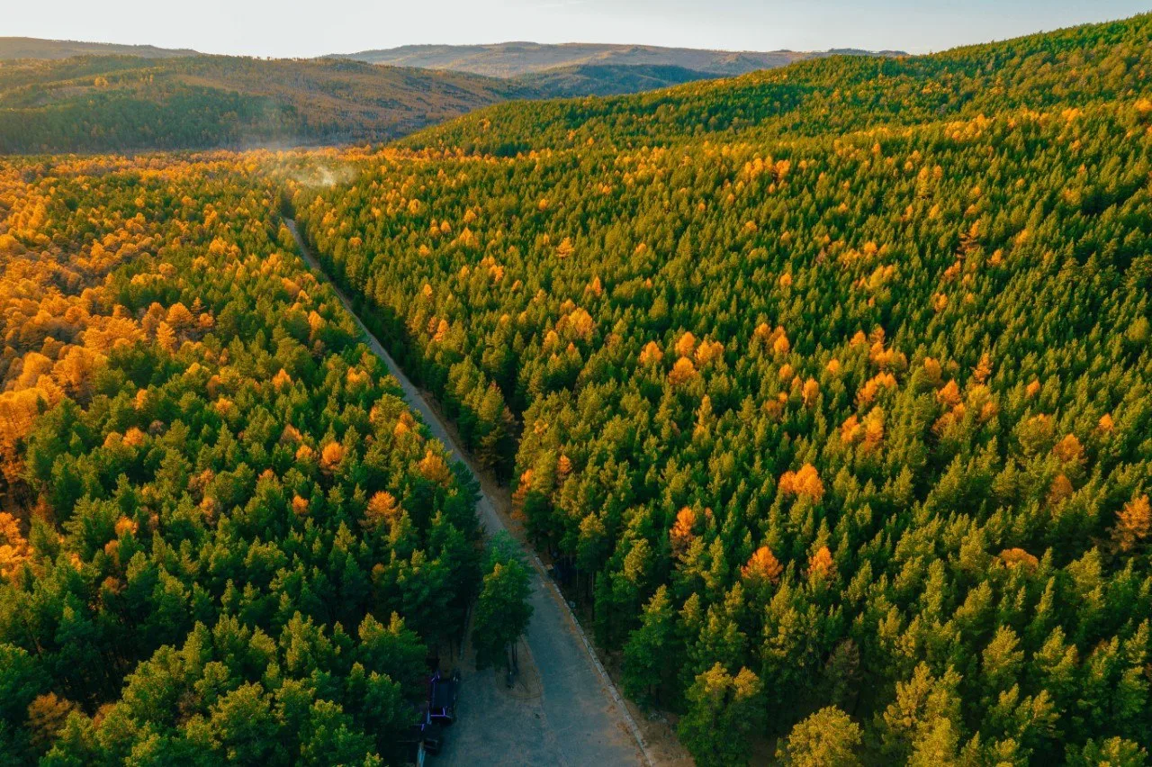 Привет, забайкальская осень🧡
