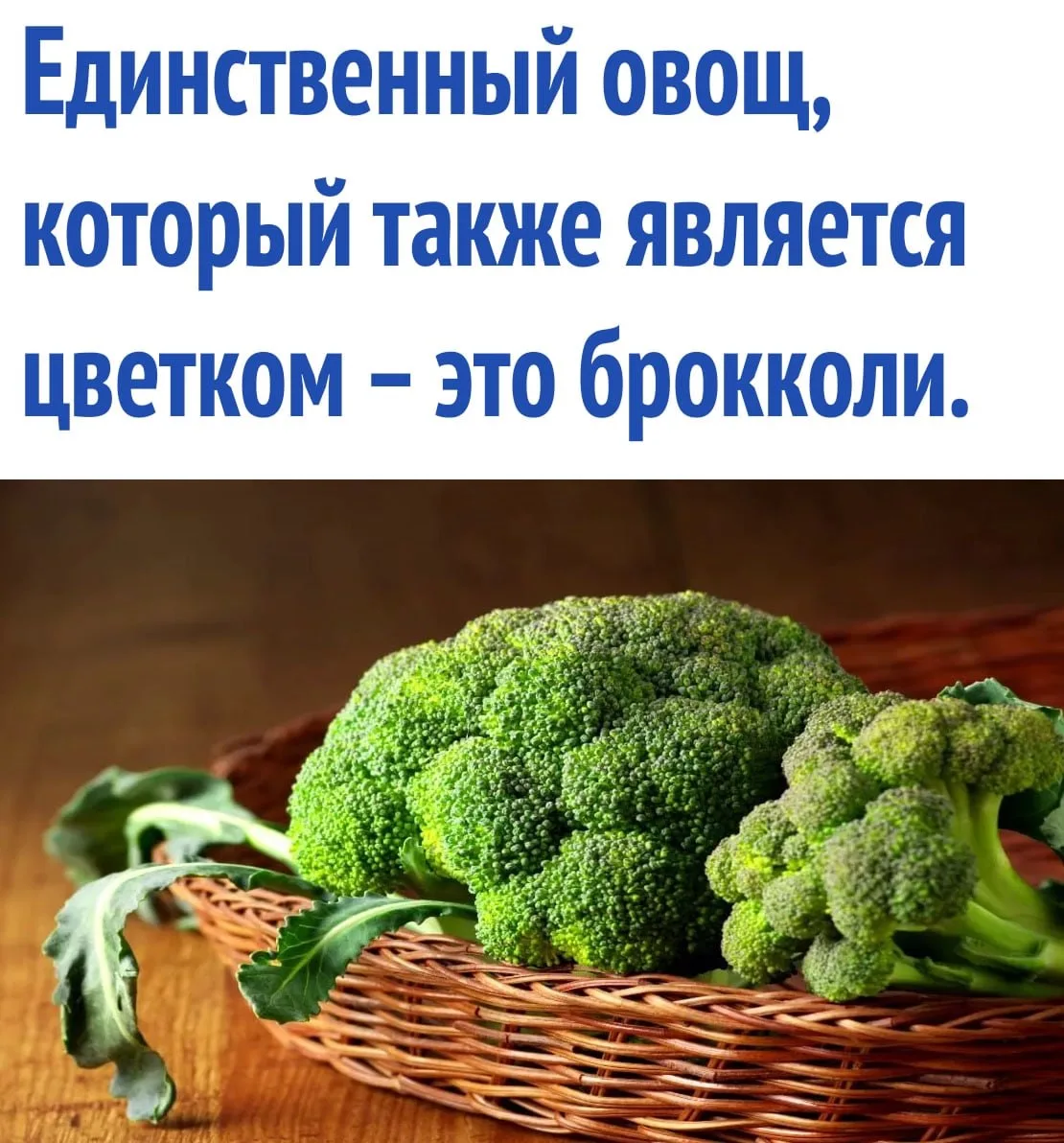 интересные факты / тайны / загадки / наука