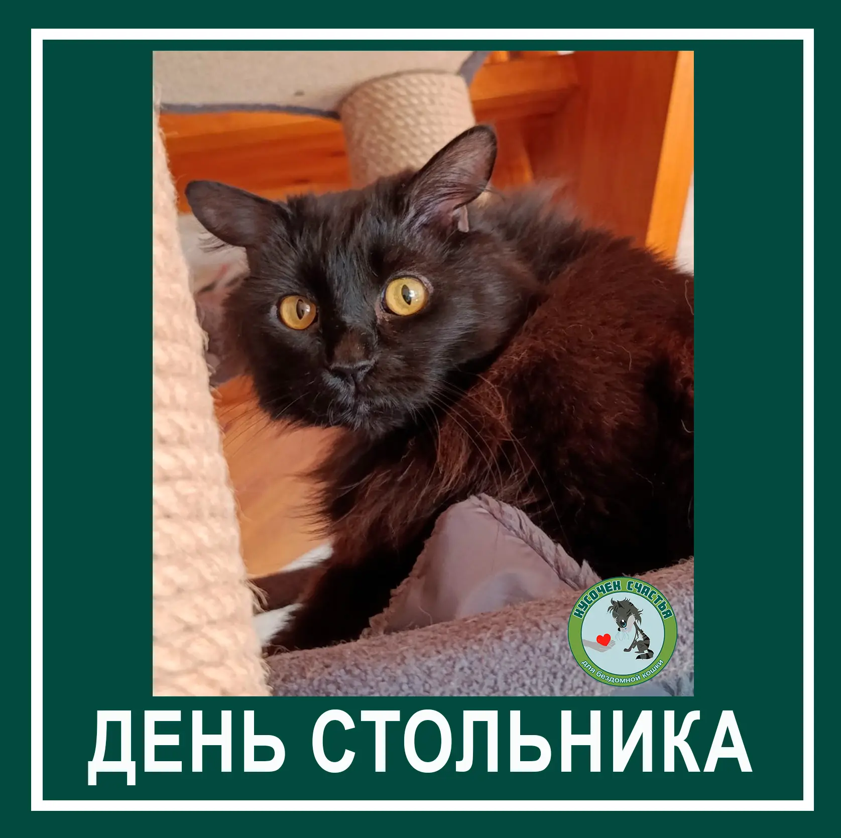 Дорогие друзья, мы желаем всем хорошо отдохнуть в этот день. Сегодня понедельник, а это значит, что 