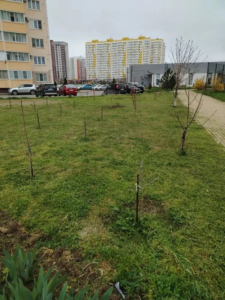 Уважаемые жители наших МКД по адресу: шоссе Супсехское🕊  🌿 Помпокос травы: забота о доме и душе  Каж